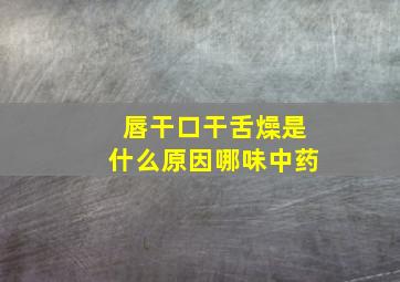 唇干口干舌燥是什么原因哪味中药