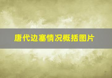 唐代边塞情况概括图片