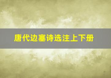 唐代边塞诗选注上下册