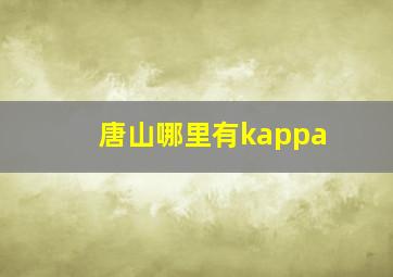 唐山哪里有kappa