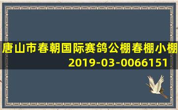 唐山市春朝国际赛鸽公棚春棚小棚2019-03-0066151