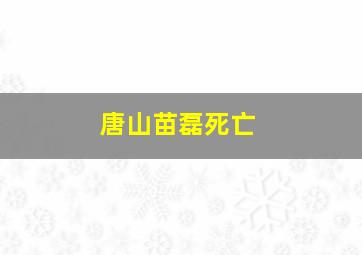 唐山苗磊死亡