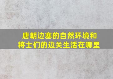 唐朝边塞的自然环境和将士们的边关生活在哪里