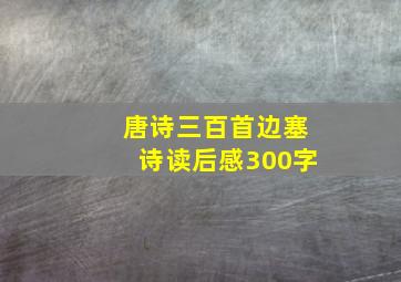 唐诗三百首边塞诗读后感300字