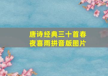 唐诗经典三十首春夜喜雨拼音版图片