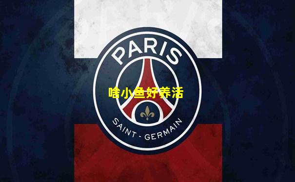 啥小鱼好养活