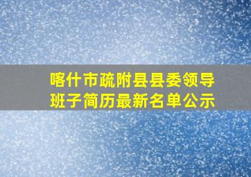 喀什市疏附县县委领导班子简历最新名单公示