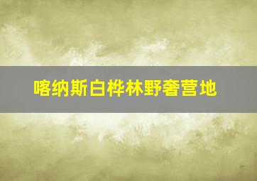 喀纳斯白桦林野奢营地