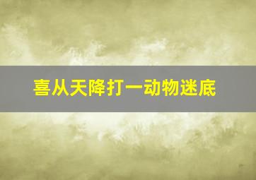 喜从天降打一动物迷底