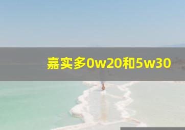 嘉实多0w20和5w30