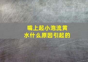 嘴上起小泡流黄水什么原因引起的