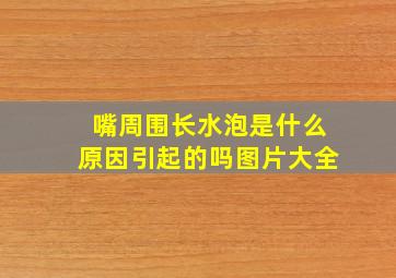 嘴周围长水泡是什么原因引起的吗图片大全