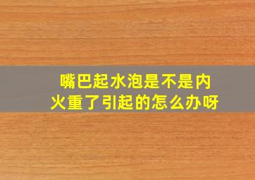 嘴巴起水泡是不是内火重了引起的怎么办呀