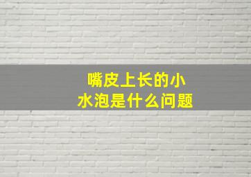 嘴皮上长的小水泡是什么问题