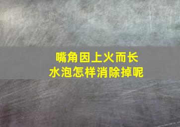 嘴角因上火而长水泡怎样消除掉呢