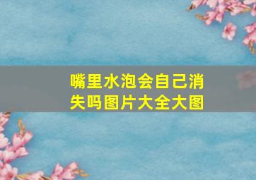 嘴里水泡会自己消失吗图片大全大图