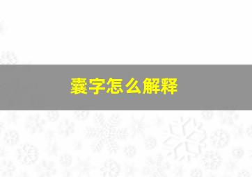 囊字怎么解释