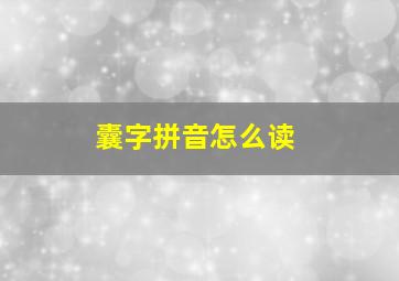 囊字拼音怎么读