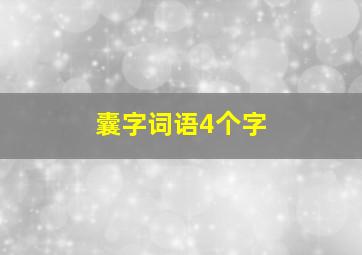 囊字词语4个字