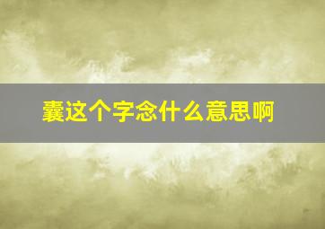 囊这个字念什么意思啊