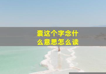 囊这个字念什么意思怎么读