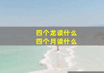 四个龙读什么四个月读什么