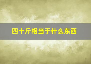 四十斤相当于什么东西