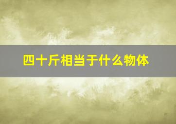 四十斤相当于什么物体