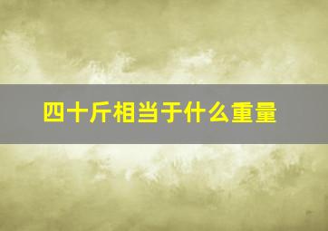 四十斤相当于什么重量