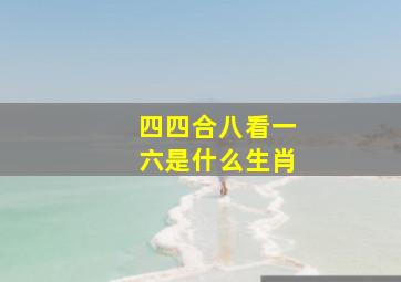 四四合八看一六是什么生肖