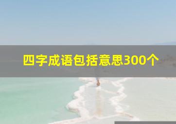 四字成语包括意思300个