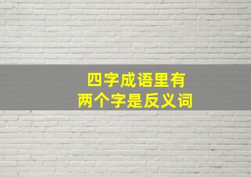 四字成语里有两个字是反义词