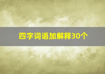 四字词语加解释30个