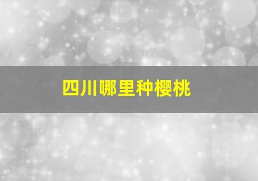 四川哪里种樱桃