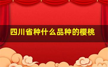 四川省种什么品种的樱桃