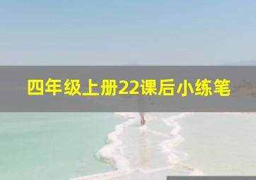 四年级上册22课后小练笔