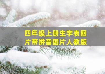 四年级上册生字表图片带拼音图片人教版