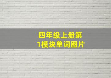 四年级上册第1模块单词图片