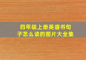 四年级上册英语书句子怎么读的图片大全集