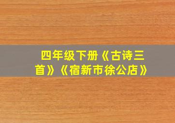 四年级下册《古诗三首》《宿新市徐公店》