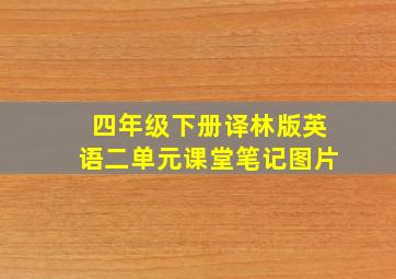 四年级下册译林版英语二单元课堂笔记图片