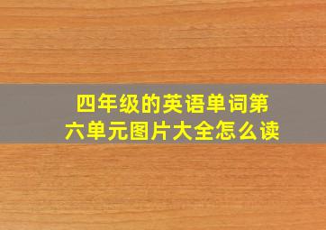 四年级的英语单词第六单元图片大全怎么读