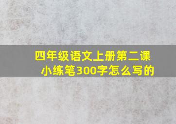 四年级语文上册第二课小练笔300字怎么写的