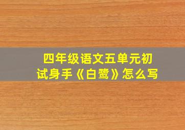 四年级语文五单元初试身手《白鹭》怎么写