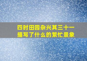 四时田园杂兴其三十一描写了什么的繁忙景象