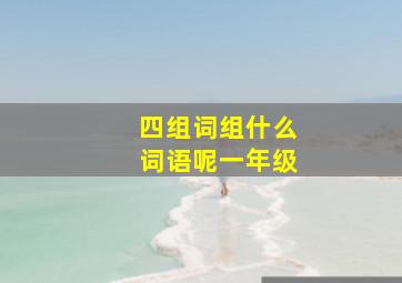 四组词组什么词语呢一年级