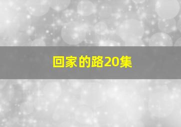 回家的路20集