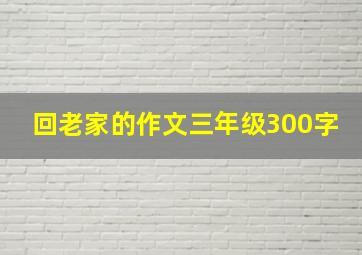 回老家的作文三年级300字