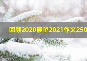 回顾2020展望2021作文250字