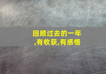 回顾过去的一年,有收获,有感悟